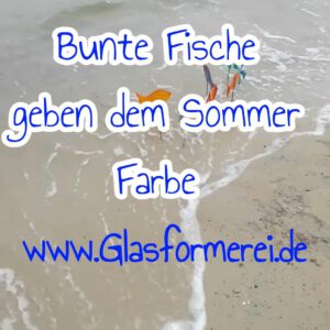 Bunte Fische am Strand