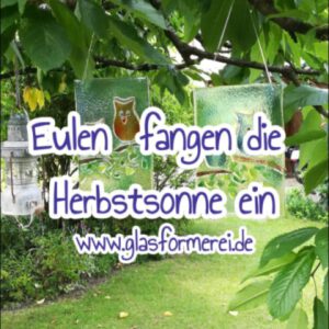 Glasbild mit Eulen