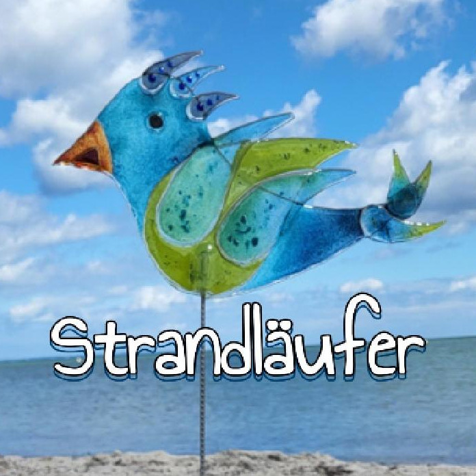 Du betrachtest gerade Strandläufer