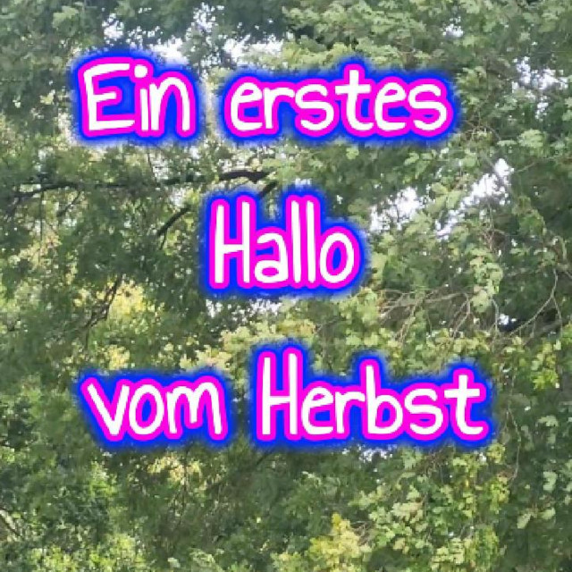 Du betrachtest gerade Vorboten des Herbstes