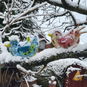 schräge Vögel im Winter