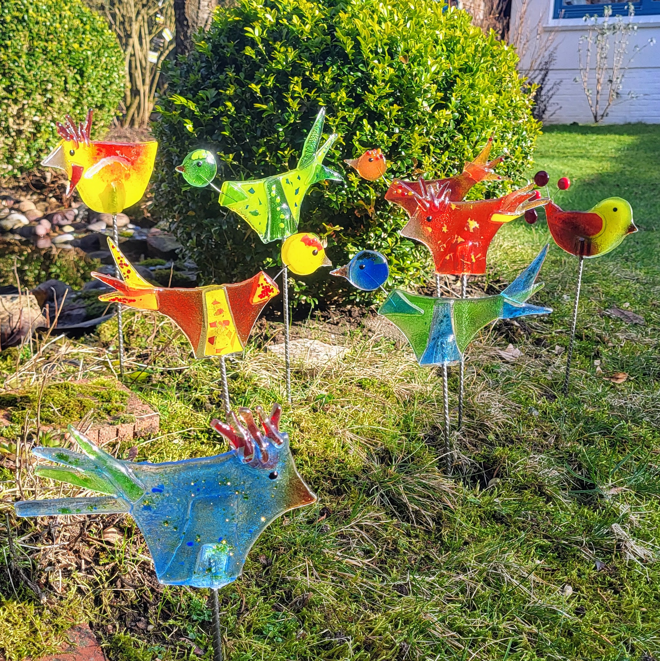 Du betrachtest gerade verrückte Hühner